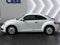 2016 Volkswagen Beetle 1.8T Fleet Edition