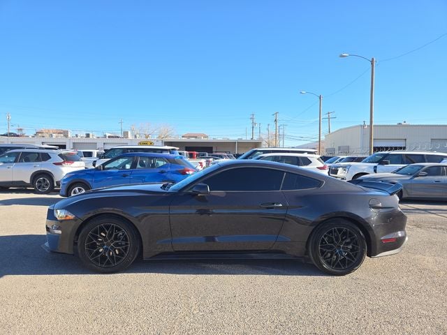 2022 Ford Mustang EcoBoost
